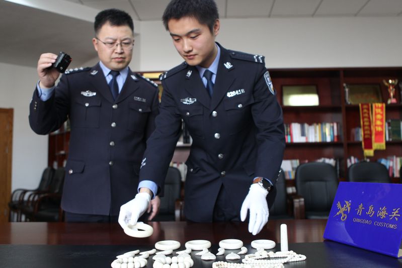 青岛海关立案侦办今年首起走私象牙入境案(图)